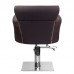 Hairdressing Chair HAIR SYSTEM BER 8541 Brown